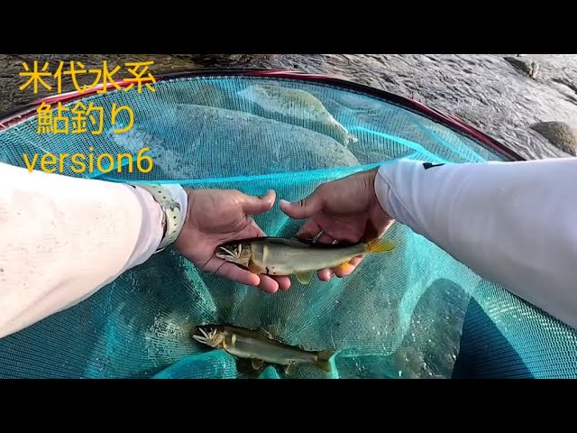 2023 米代水系 鮎釣り version6
