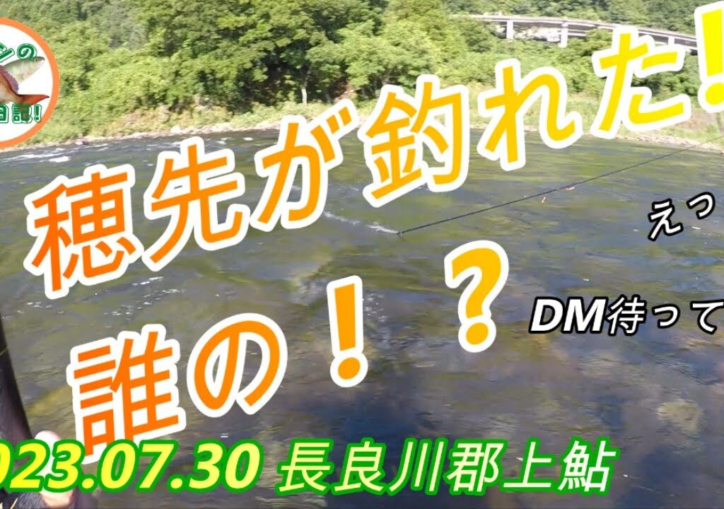 2023.07.30 長良川郡上中流域の鮎釣行 誰かの穂先が釣れた！26cmの鮎も釣れた！