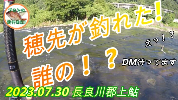 2023.07.30 長良川郡上中流域の鮎釣行 誰かの穂先が釣れた！26cmの鮎も釣れた！