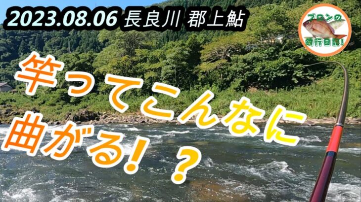 2023.08.06 長良川郡上鮎　土用隠れで苦戦🤣それでも良型は掛かる❗️早くリセットしてほしい💦