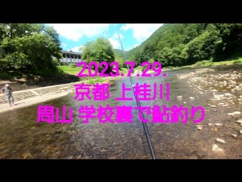 癒しを求めた鮎釣りだか？@京都 上桂川 周山学校裏(2023.7.29.)。