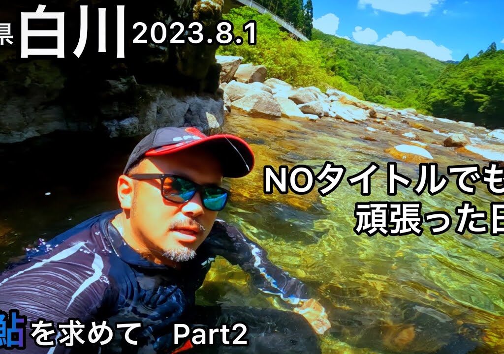 【鮎釣り】白川（岐阜県）｜2023.8.1【友釣り】
