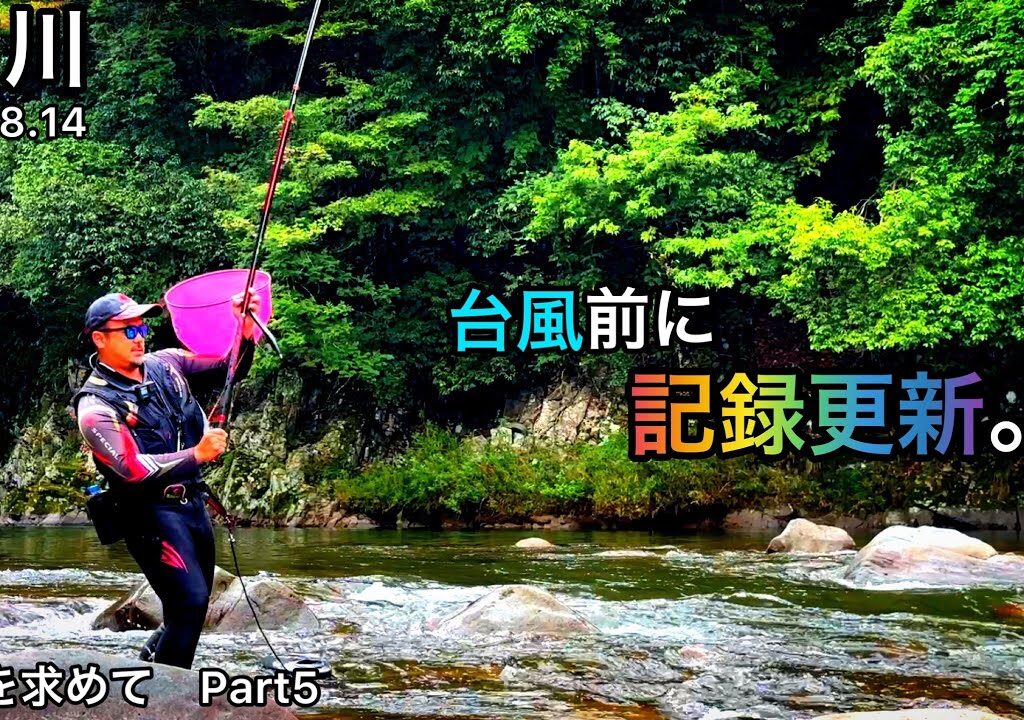 【鮎釣り】2023.8.14 白川（岐阜県）｜8.11白川、黒川の様子も少し【友釣り】