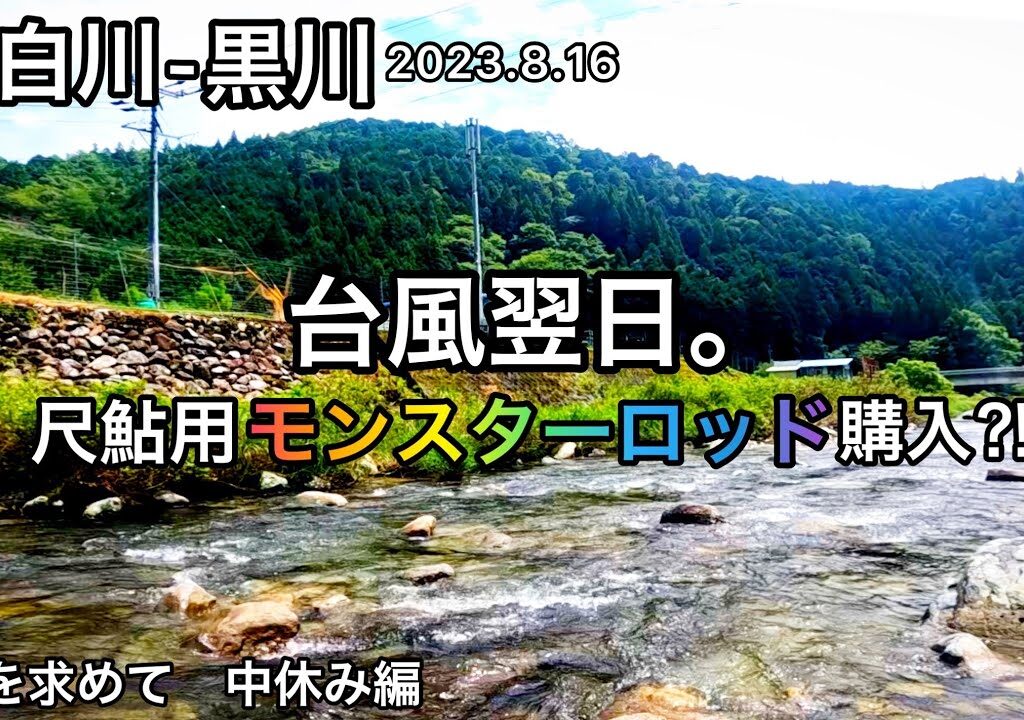 【鮎釣り】🌈中休み編！白川、黒川（岐阜県）｜2023.8.16【友釣り】