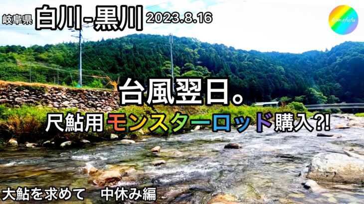 【鮎釣り】🌈中休み編！白川、黒川（岐阜県）｜2023.8.16【友釣り】