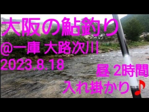 2023.8.18.  大阪の鮎釣り@一庫 大路次川‼️