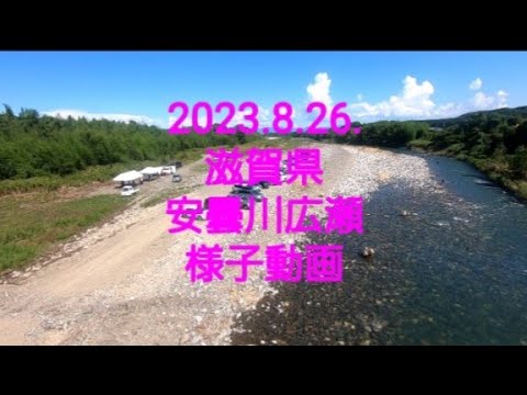 2023.8.26 滋賀県 安曇川 広瀬漁区の川の様子動画。