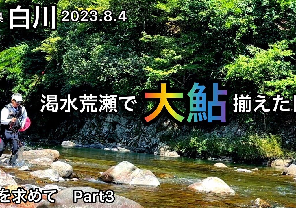 【鮎釣り】白川（岐阜県）｜2023.8.4【友釣り】
