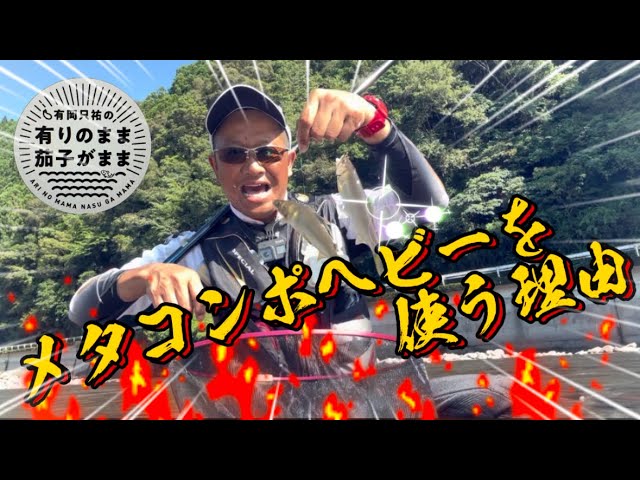 2023/7/10 泳ぎ過ぎると釣れない。ピンポイントでガツン！