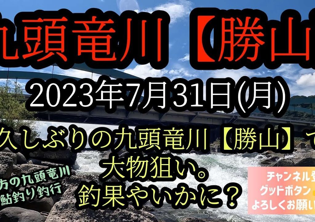 久しぶりの九頭竜川【勝山】で大物狙い。釣果やいかに？2023年7月31日
