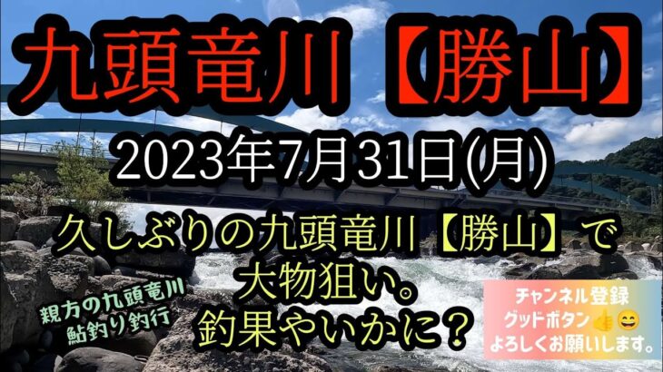 久しぶりの九頭竜川【勝山】で大物狙い。釣果やいかに？2023年7月31日