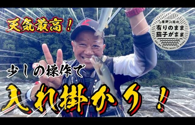 【鮎釣り】2023/7/9 高知県安田川。短い釣行でしたが納得の釣りでした！
