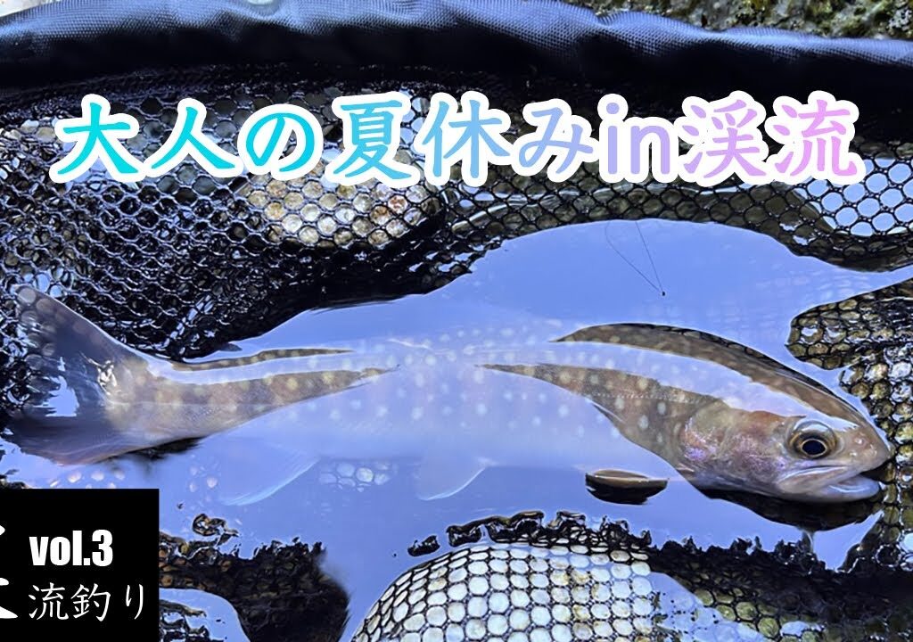 【大人の夏休み】2023年8月 先行者だらけの渓流でも幸せを感じた！