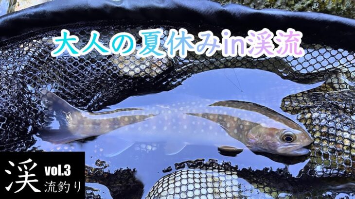【大人の夏休み】2023年8月 先行者だらけの渓流でも幸せを感じた！