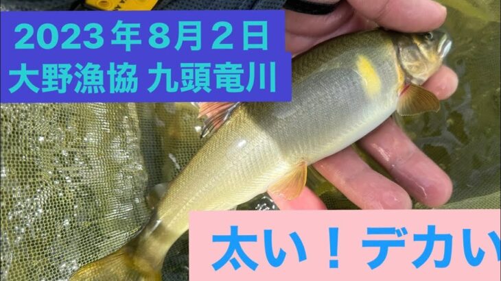 2023年8月2日鮎釣り　大野漁協　九頭竜川