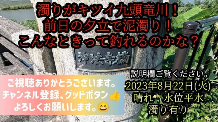 濁りがキツイ九頭竜川！前日の夕立で泥濁り！こんなときって釣れるのかな？2023年8月22日(火)