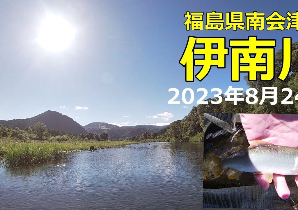 2023年8月24日　会津の鮎遊び　伊南川 鮎釣り　渇水・高温・爆風