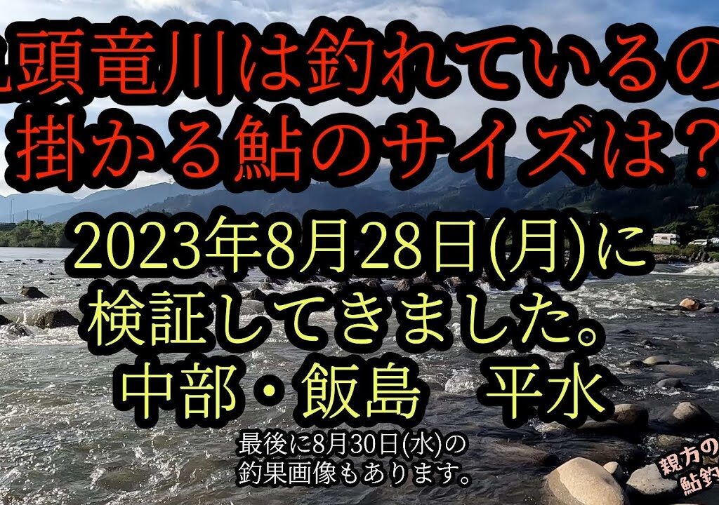 九頭竜川は釣れているの？掛かる鮎のサイズは？2023年8月28日(月)に検証してきました。