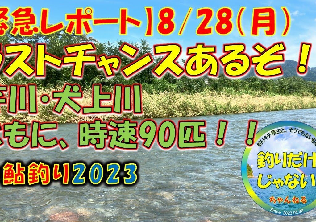 【速報】2023年8月28日・小鮎釣り2023・緊急レポート・芹川・犬上川、ラストチャンス大いにあるぞ。ともに時速90匹。