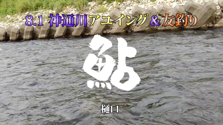 23 08 01　神通川アユイング＆友釣り