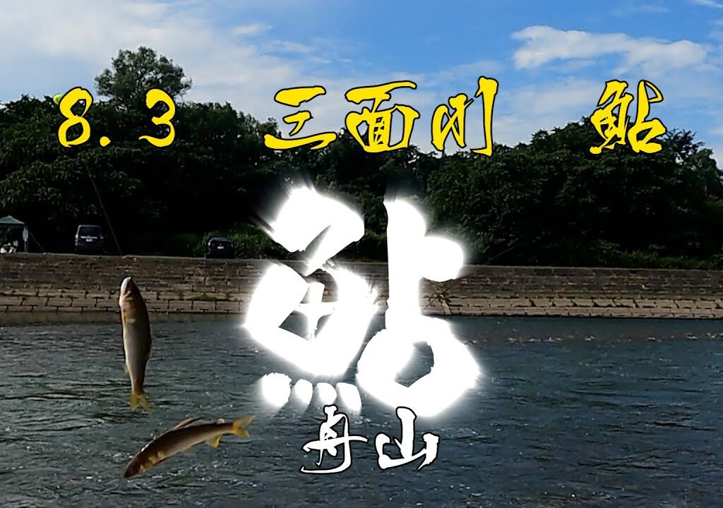 23 08 03　三面川 鮎