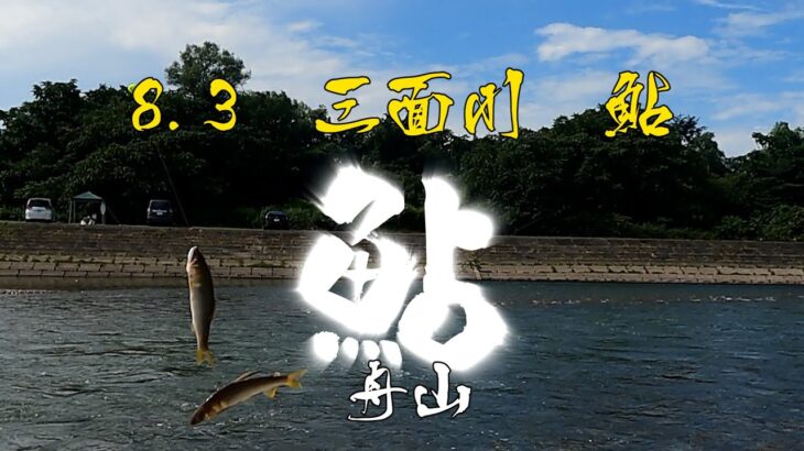 23 08 03　三面川 鮎