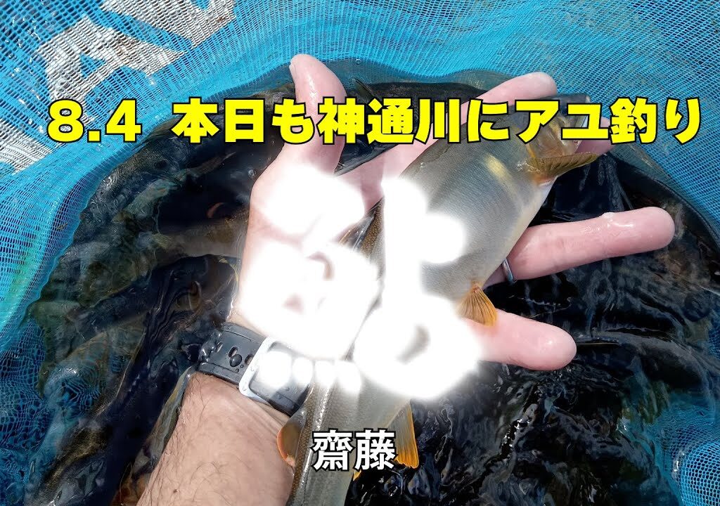 23 08 04　本日も神通川にアユ釣り