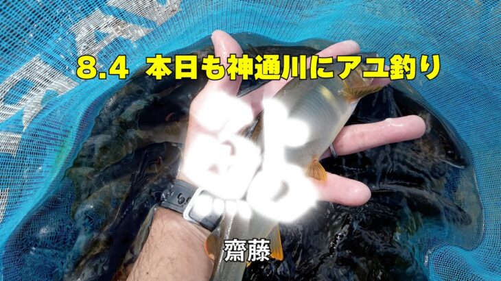23 08 04　本日も神通川にアユ釣り