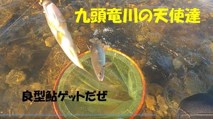 鮎釣り日記 23 8 12