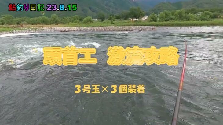 鮎釣り日記 23 8 15