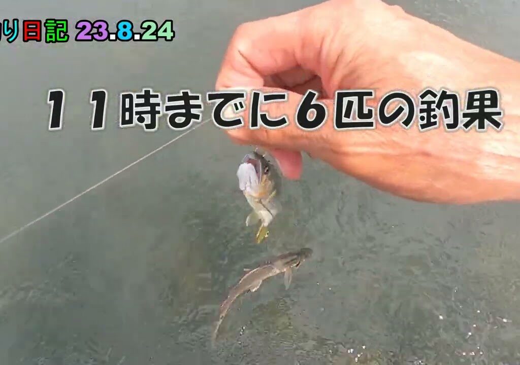 鮎釣り日記 23 8 24