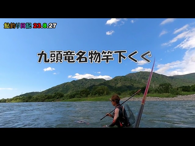 鮎釣り日記 23 8 27