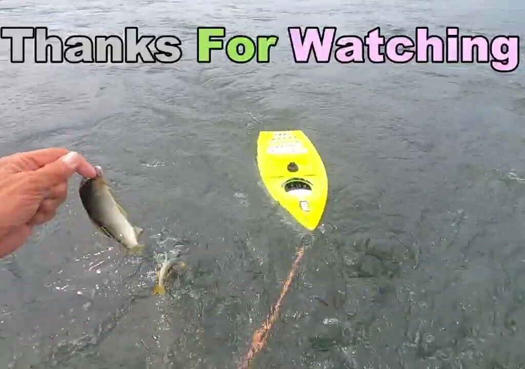 鮎釣り日記 23 8 31