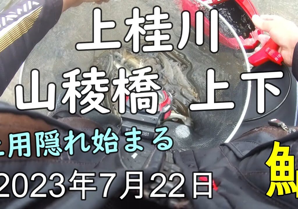 230722 【鮎釣り】上桂川 山稜橋