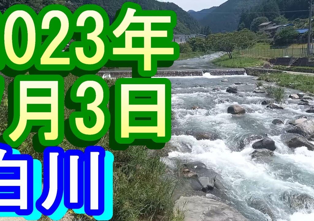 鮎釣り 30㎝高引水残り垢 赤川黒川出会から1Ｋ上流  JC最上流吊り橋上 宮代橋上  白川 2023年