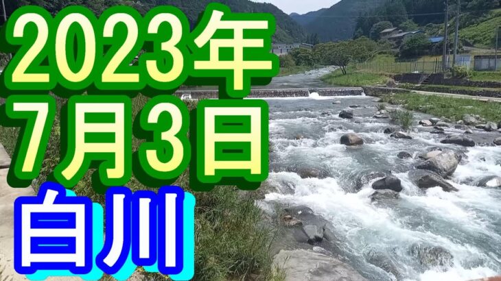 鮎釣り 30㎝高引水残り垢 赤川黒川出会から1Ｋ上流  JC最上流吊り橋上 宮代橋上  白川 2023年