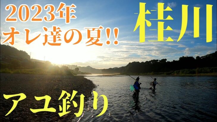 【鮎釣り】釣り友と3人で桂川釣行#14