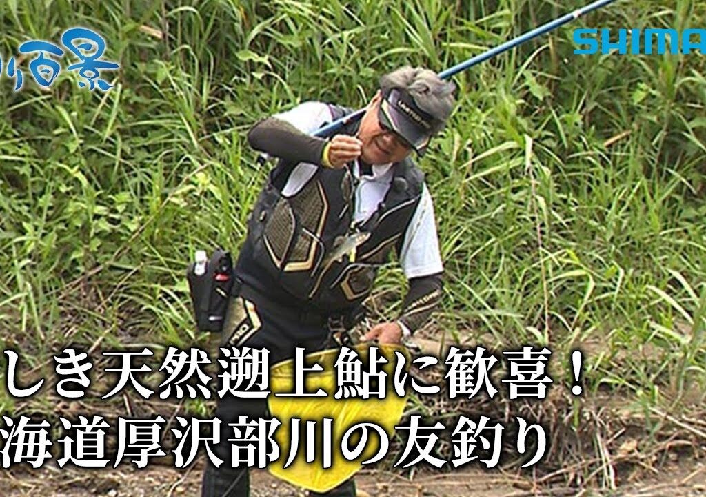 【釣り百景】#501 美しき天然遡上鮎に歓喜！北海道厚沢部川の友釣り