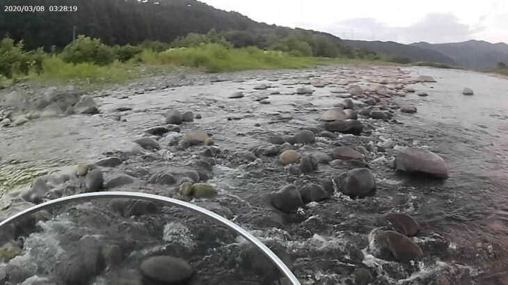 昼から50釣るまで帰れまティン★山形県共通遊漁券で最上川水系を開拓2023.8月の鮎釣り
