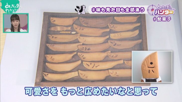 鮎菓子の顔をよ～く見てみると？【鮎菓子①】(めっちゃぎふハンター #66)