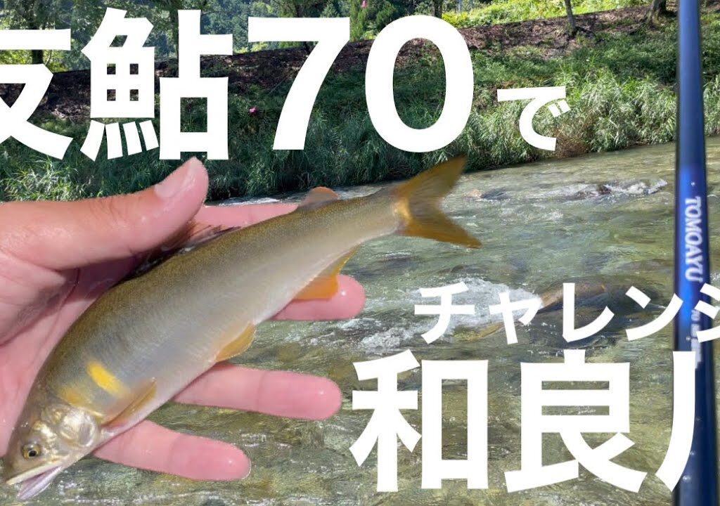 友鮎70で和良川チャレンジ！