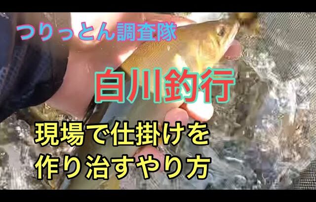 岐阜県白川釣行7月23日(日)