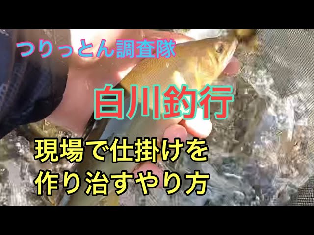 岐阜県白川釣行7月23日(日)