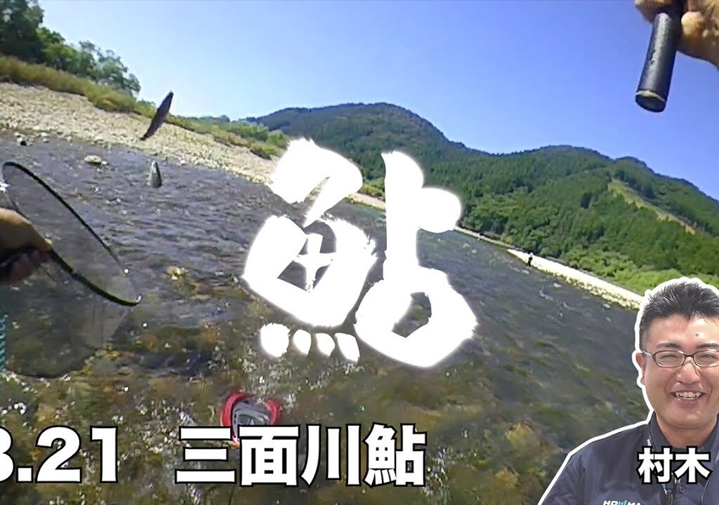 8 21   三面川鮎釣行