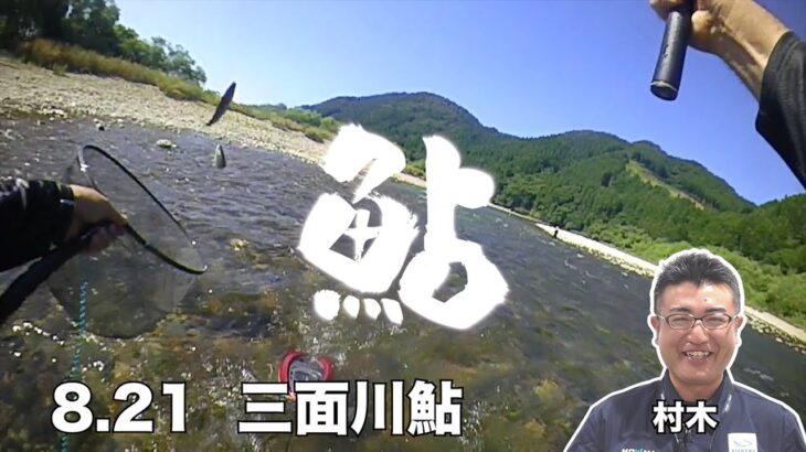 8 21   三面川鮎釣行