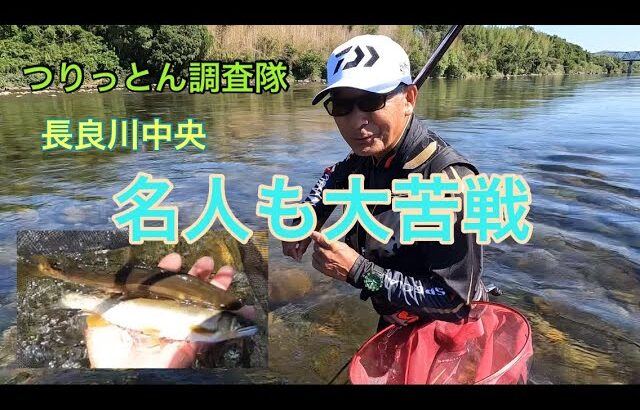 長良川中央で伊藤正弘名人と鮎釣り。8月11日