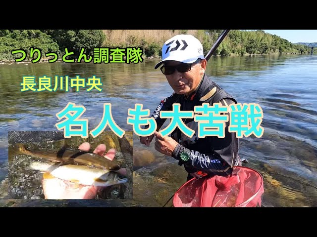 長良川中央で伊藤正弘名人と鮎釣り。8月11日