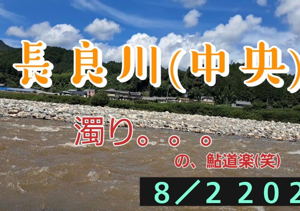 長良川(中央)　鮎釣り　濁り。。。8/2 2023