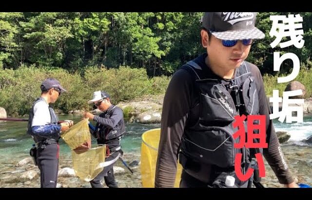 【鮎釣り】8/20 台風7号で吹っ飛んだ垢でも全然釣れるぞ‼︎