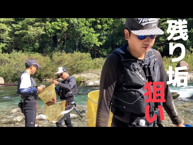 【鮎釣り】8/20 台風7号で吹っ飛んだ垢でも全然釣れるぞ‼︎